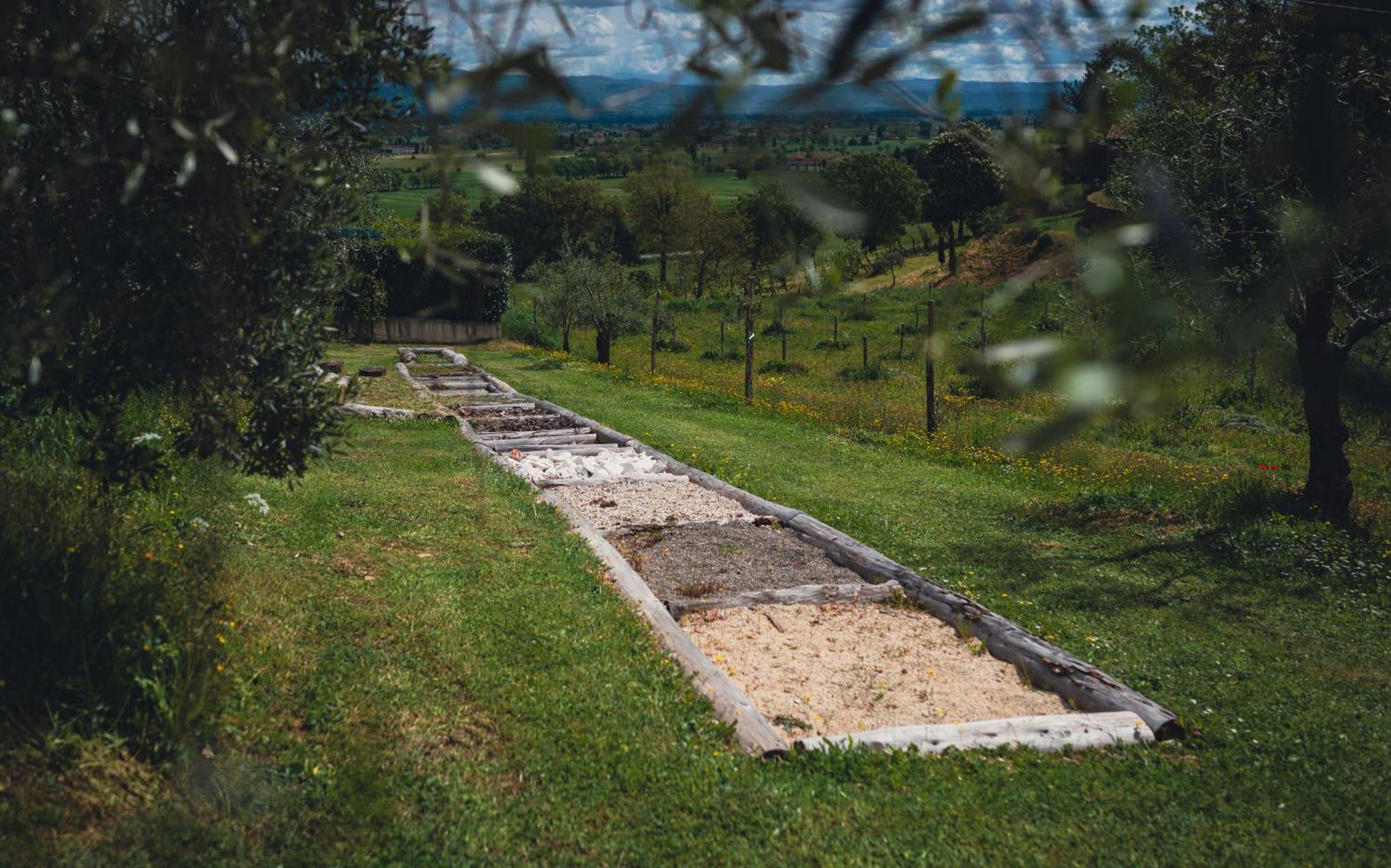 Agriturismo Podere Tovari Anghiari Luaran gambar